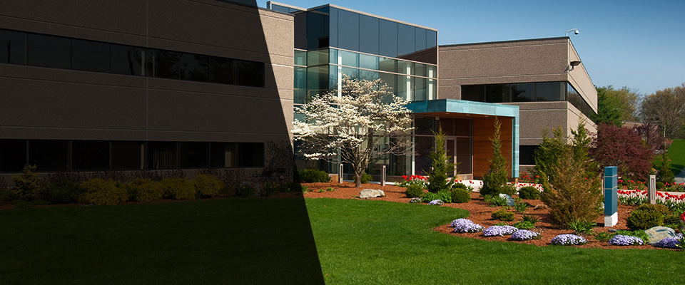 Whitney Landscapers