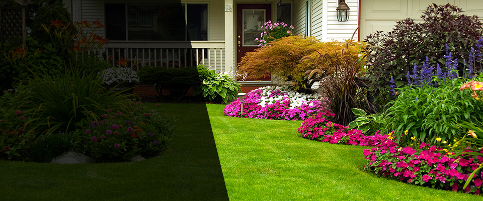 Whitney Landscapers
