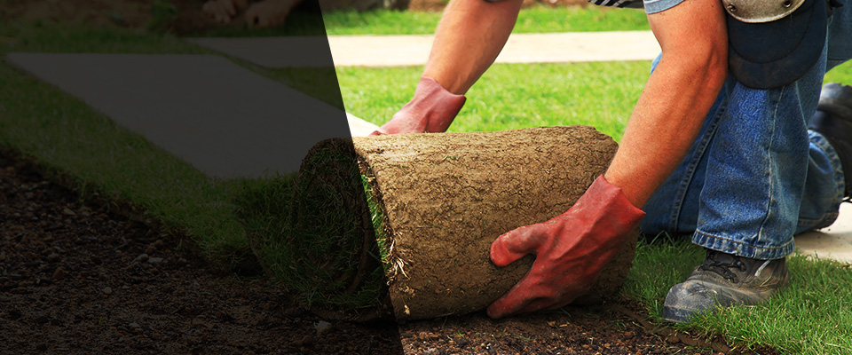 Whitney Landscapers